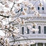 Congress Uses COVID-19 As a Cover for an Epidemic of Fiscal Recklessness: Legislators View the Disease As a License to Spend Like There's No Tomorrow