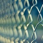 Securing America Requires a Secure Border
