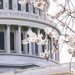 Rep. Greene's Toxic Antics Are Further Poisoning U.S. politics. Expel Her, Already.
