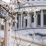 Congress Must Stop Deferring on Deferred Action for Childhood Arrivals