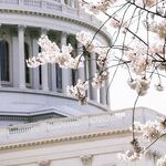 Rep. Rodney Davis Squanders Integrity by Siding With GOP Extremists