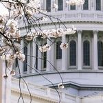 McCarthy's Thuggish Threat to Telecom Companies Deserves an Ethics Probe