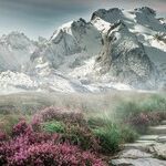 Don't Make Pikes Peak a National Park