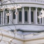 Biden Administration Strategic Errors Led to Afghan Debacle