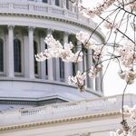 Don't Play the Race Card To Advocate Abortion