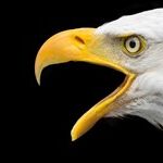 Progressives Team Up To Score Goal Against Their Own Team With Spending Bill