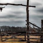America's Identity Is at Issue in Biden's Multi-front War With Texas