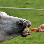 Kroger's Carrot-and-Stick Pandemic Policies Are a Valuable Business Model