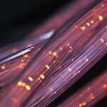 Bringing Broadband To Struggling Communities Is a Societal Responsibility
