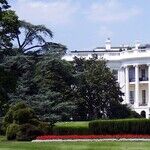 Executive Orders Aren't Ideal, but Post-Roe, They May Be Women's Only Defense