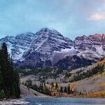 Strangling Regs Are Costing Colorado