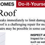 Find Leak and Fix Flat Roof