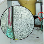 Standard and Black Mold in Bathrooms