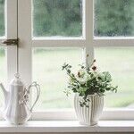 Lower Overall Cost by Installing Replacement Windows Yourself