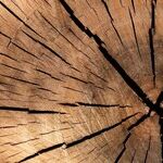 Using Proper Lumber Makes Projects Easier