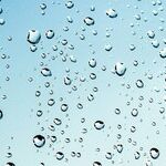 Find Musty/Mildew Odors in Your Home