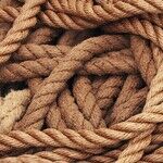 Various Types of Rope for Various Tasks and Projects