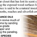 Use Aromatic Cedar Wood to Line Closet