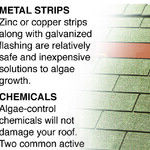 Stop Stains From Forming on Your Roof
