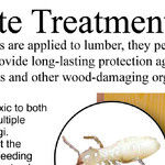 Use Borate To Preserve Lumber