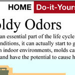 Eliminate Damp, Moldy Odors
