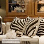 Animal Prints Gone Wild