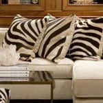 Animal Prints Gone Wild