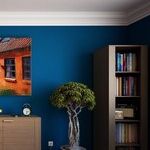 Paint is the Best Decorating Tool