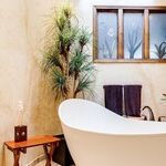 Bathrooms Revisited