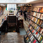 Homey, Enchanting Journeys for Young Readers
