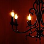 Haunted Mansions, Norse Gods and Forest Frights -- Oh, My!