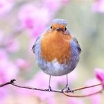 Put a Little Spring in Your Step -- and Your Books