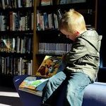 Board Books with Pizazz