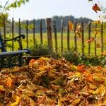 Put a Little Tactile Activity Into Your Fall Season