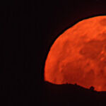 Big Moon Rising