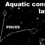 Finding Aquatic Constellations