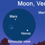 A Binocular Treat