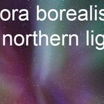 The Mystical Northern Lights