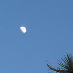 Just Mooning Around