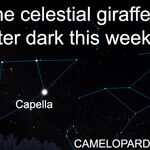 Finding the Celestial Giraffe