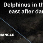 The Stellar Dolphin
