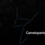 The Celestial Giraffe
