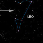 Finding Leo After Dark