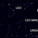 A Cosmic Menagerie