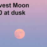 Shine on Harvest Moon