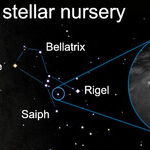 Our Cosmic Ancestors