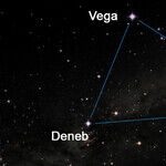Finding the Stellar Dolphin