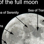 Enjoying This Week's Full Moon