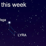 Make Friends With Vega