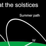 Spring Turns to Summer